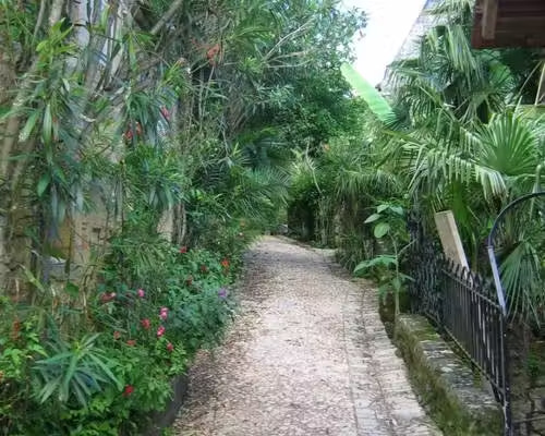 jardin exotique roque gageac
