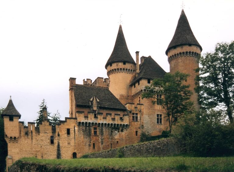 chateau de puymartin vallée dordogne