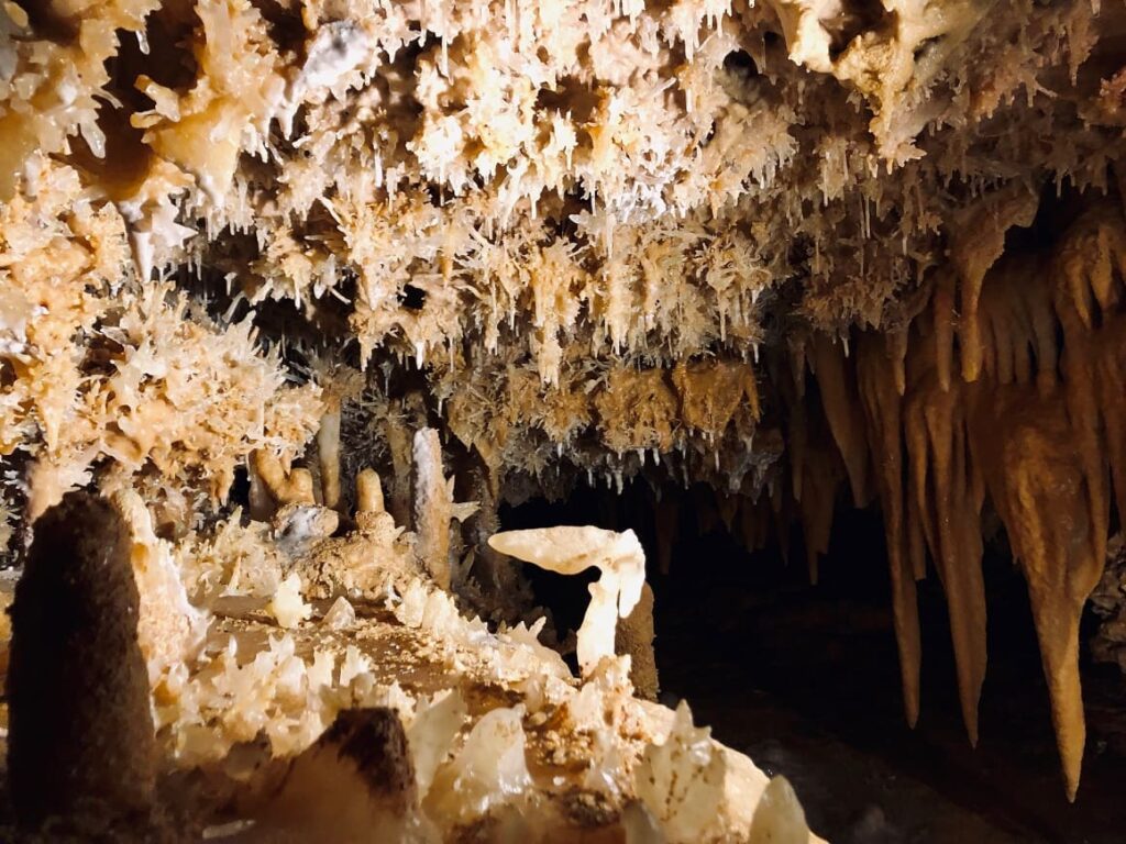 Grotte de Font-de-Gaume