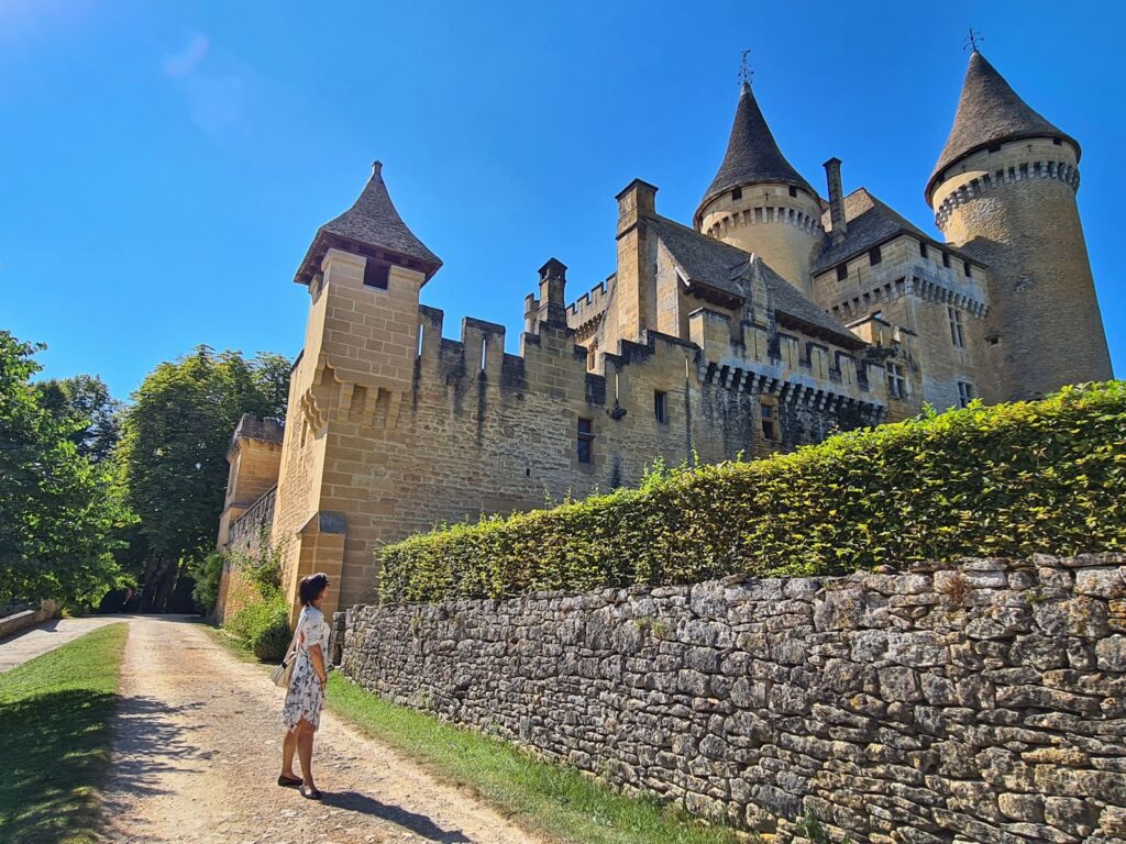 chateau de puymartin dordogne