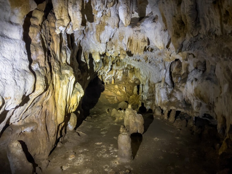 La Grotte de Bernifal Les Eyzies