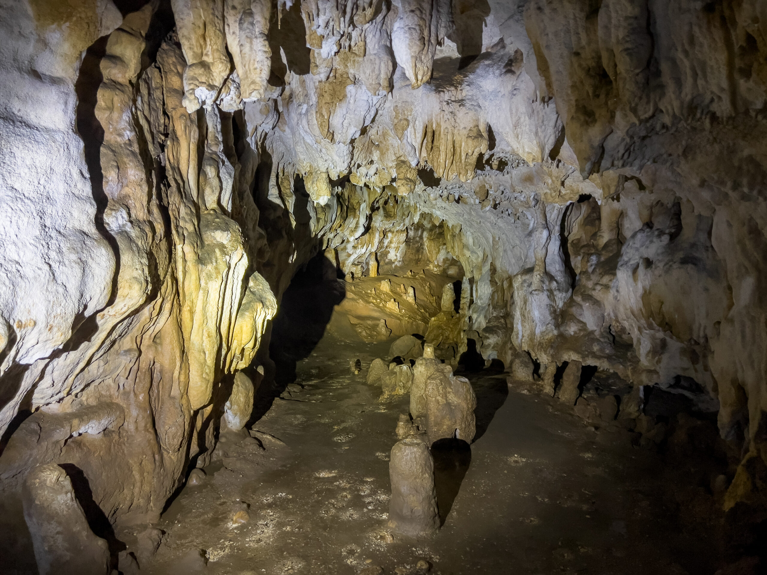 La Grotte de Bernifal Les Eyzies