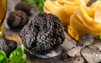 Fête de la truffe à Sarlat : un séjour placé sous le signe de la dégustation