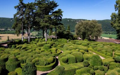 Les Jardins suspendus de Marqueyssac : une promenade unique au-dessus de la Dordogne