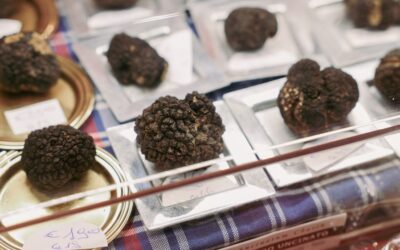 Où manger à Sarlat ? Vivre une vraie expérience gastronomique périgourdine