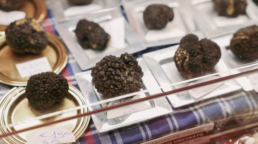 Truffes en Dordogne - Sarlat